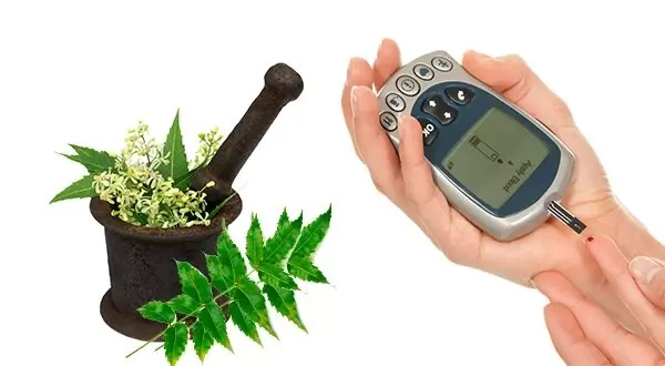 Neem leaves, a boon for diabetes and cancer