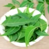 6 Amazing Health Benefits of Eating Neem Leaves