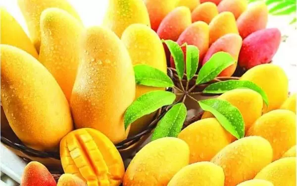 Mango, mango peel is also something special