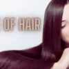How to Taking Care of Hair? 10 Best Care of Hair Tips