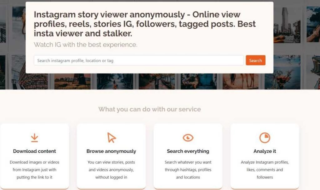What is Instagram web viewer