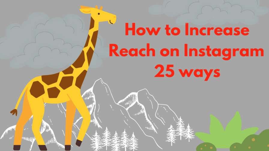 10 Ways How to Increase Reach on Instagram 10 Ways How to Increase Reach on Instagram