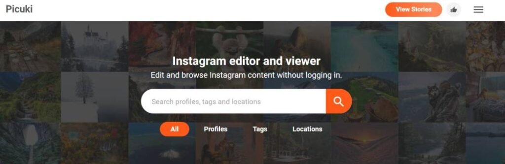 Picuki Popular Instagram Viewer Websites