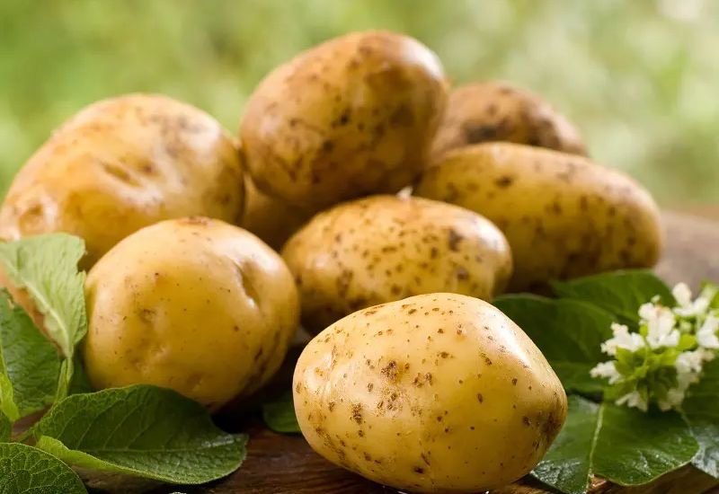 Why Are Potatoes Good For Your Health?