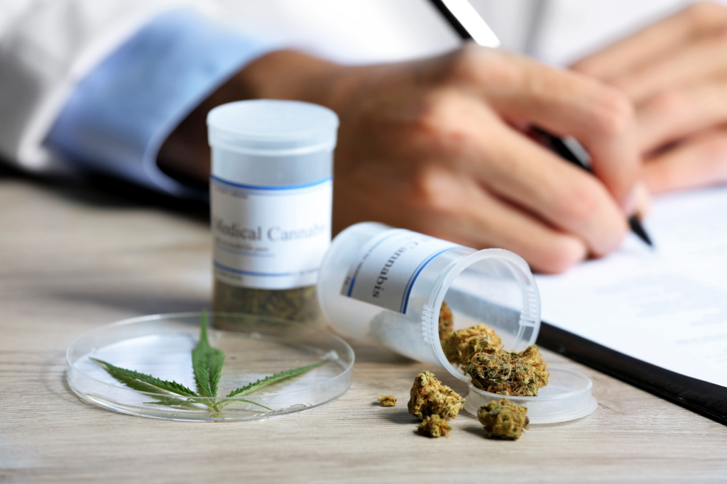 Understanding the Legalities of Getting Medical Marijuana