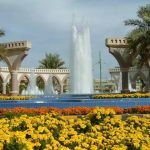 Exploring the Beauty of Al Ain