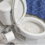Can You Flush Wet Wipes: The Truth About Flushing Non-Flushable Products