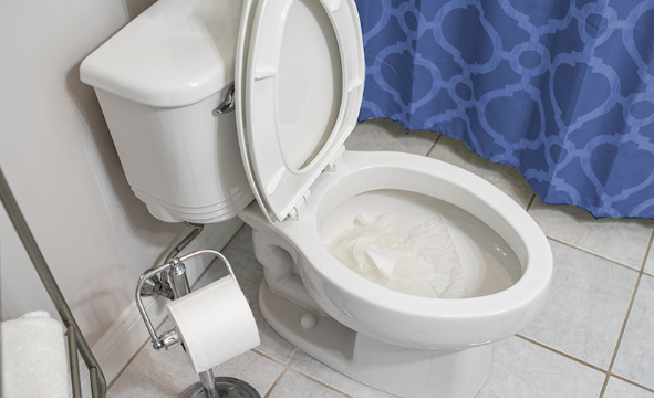 Can You Flush Wet Wipes: The Truth About Flushing Non-Flushable Products