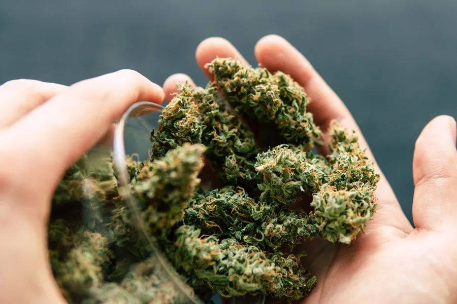 Benefits of Delta 8 Flower for Relaxation and Stress Relief