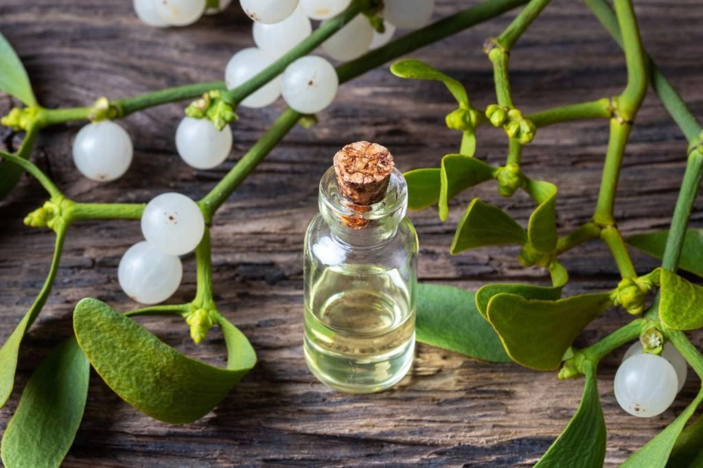 Mistletoe Extract Benefits
