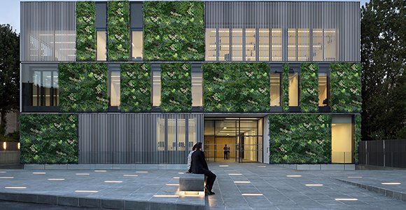 Embracing Artificial Vertical Gardens in Your Space