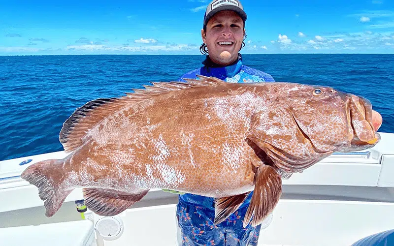Is Wreck Spearfishing in Islamorada Right for You?