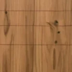 Best Practices for Choosing Termite Resistant Plywood