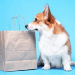 Your Guide to Dumpster Bags: Why Doggy Bag is a Game Changer for Trash Disposal