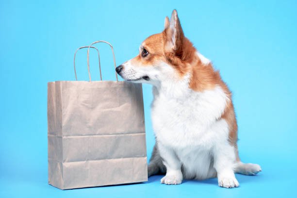 Your Guide to Dumpster Bags: Why Doggy Bag is a Game Changer for Trash Disposal